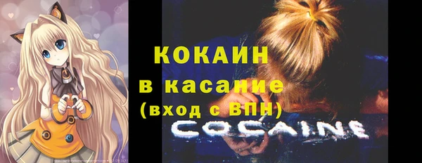 стаф Белокуриха