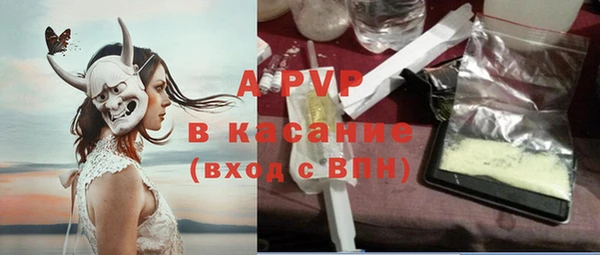 PSILOCYBIN Беломорск