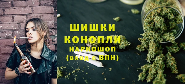стаф Белокуриха