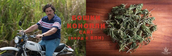 PSILOCYBIN Беломорск