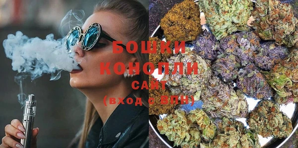 PSILOCYBIN Беломорск