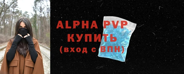 стаф Белокуриха