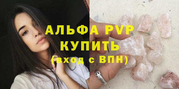 стаф Белокуриха